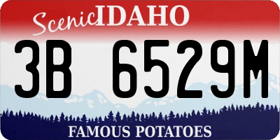 ID license plate 3B6529M