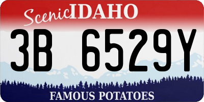 ID license plate 3B6529Y