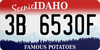 ID license plate 3B6530F