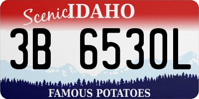 ID license plate 3B6530L