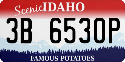 ID license plate 3B6530P