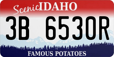 ID license plate 3B6530R