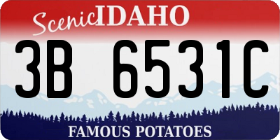 ID license plate 3B6531C