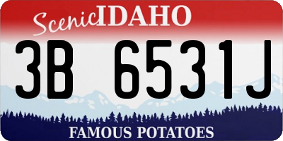 ID license plate 3B6531J