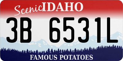 ID license plate 3B6531L
