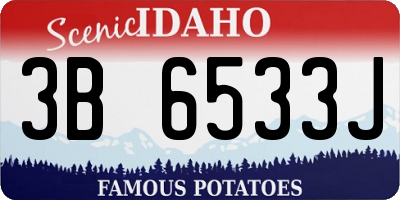 ID license plate 3B6533J
