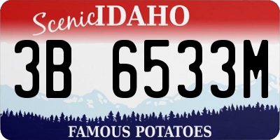 ID license plate 3B6533M