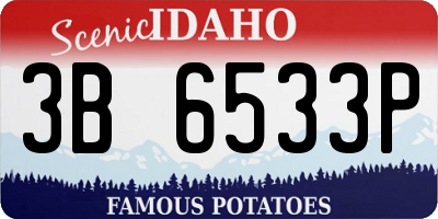 ID license plate 3B6533P
