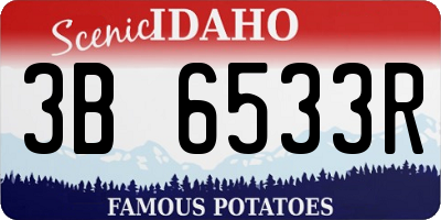 ID license plate 3B6533R