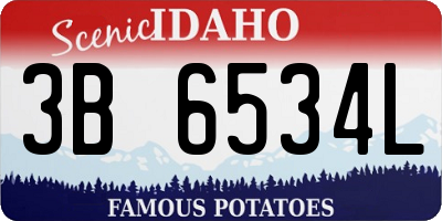 ID license plate 3B6534L