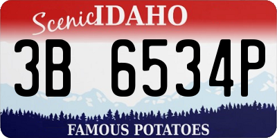 ID license plate 3B6534P