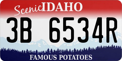 ID license plate 3B6534R
