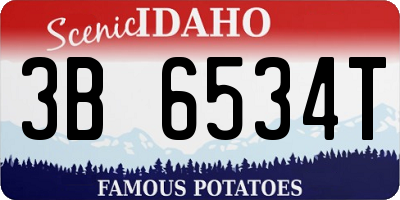ID license plate 3B6534T