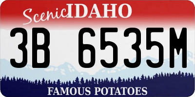 ID license plate 3B6535M