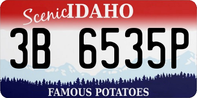 ID license plate 3B6535P