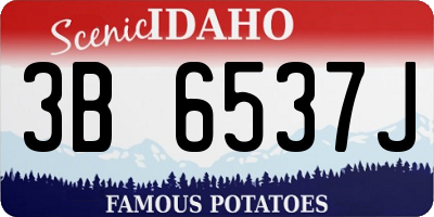 ID license plate 3B6537J
