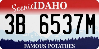 ID license plate 3B6537M