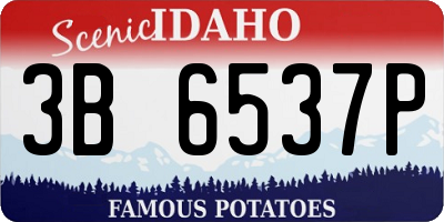 ID license plate 3B6537P