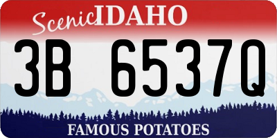 ID license plate 3B6537Q
