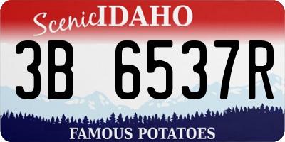 ID license plate 3B6537R