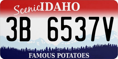 ID license plate 3B6537V