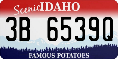 ID license plate 3B6539Q