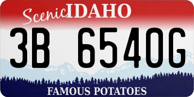 ID license plate 3B6540G