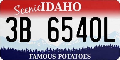 ID license plate 3B6540L