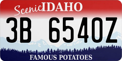 ID license plate 3B6540Z