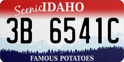 ID license plate 3B6541C