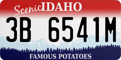 ID license plate 3B6541M