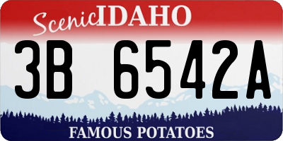 ID license plate 3B6542A