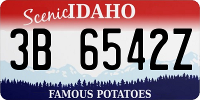 ID license plate 3B6542Z