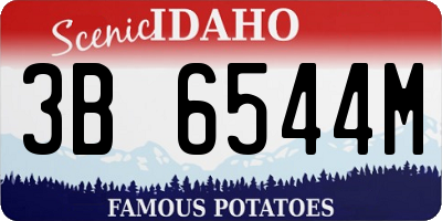 ID license plate 3B6544M