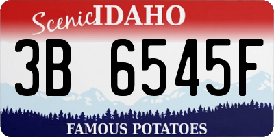 ID license plate 3B6545F