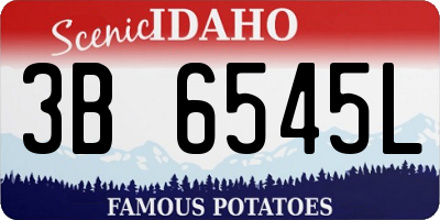 ID license plate 3B6545L