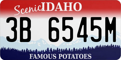 ID license plate 3B6545M