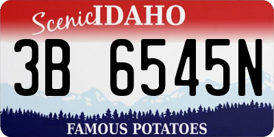 ID license plate 3B6545N