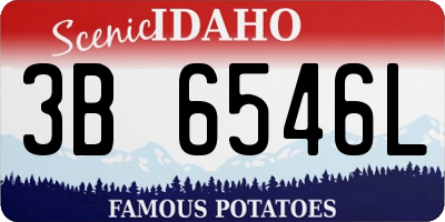 ID license plate 3B6546L