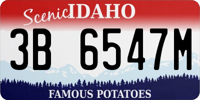 ID license plate 3B6547M
