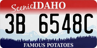 ID license plate 3B6548C