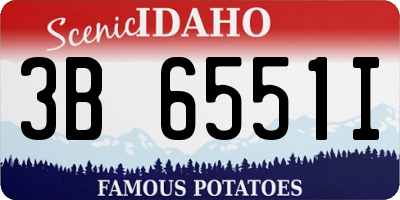 ID license plate 3B6551I