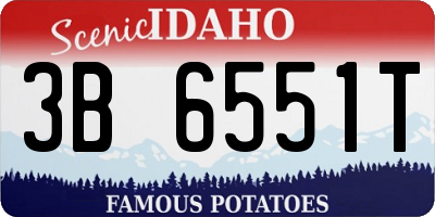 ID license plate 3B6551T