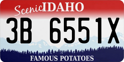 ID license plate 3B6551X