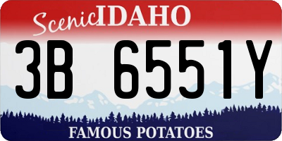 ID license plate 3B6551Y