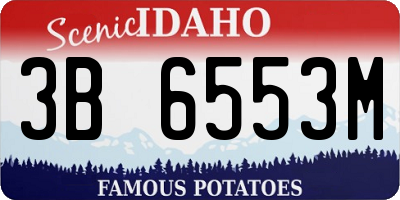 ID license plate 3B6553M