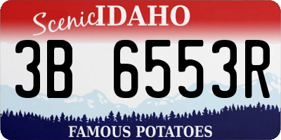 ID license plate 3B6553R
