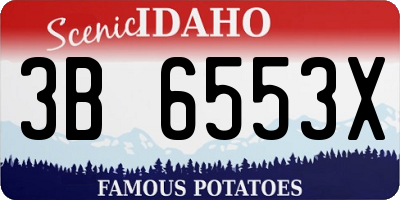 ID license plate 3B6553X
