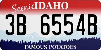 ID license plate 3B6554B