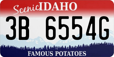 ID license plate 3B6554G
